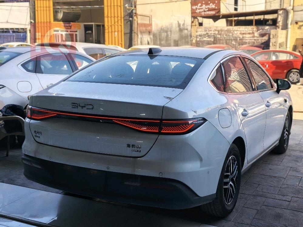 بي واي دي سيل 06 DM-i